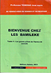 Bienvenue chez les Bamiléké - Tome 4